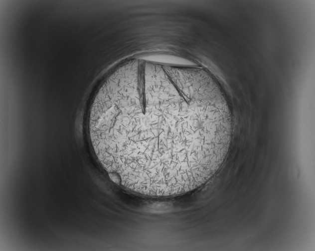 X0000087510155200705251626