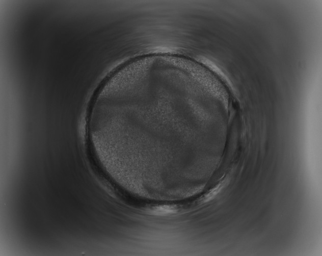 X0000087510156200705251626