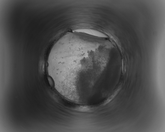 X0000087510157200705251626