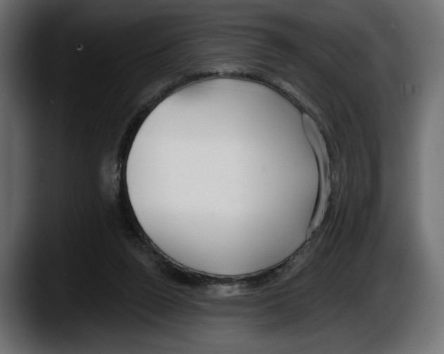 X0000087510160200705251626