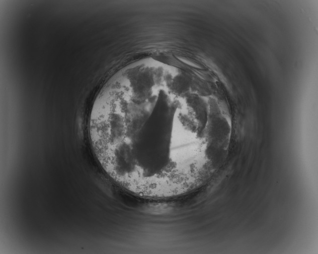 X0000087510161200705251626