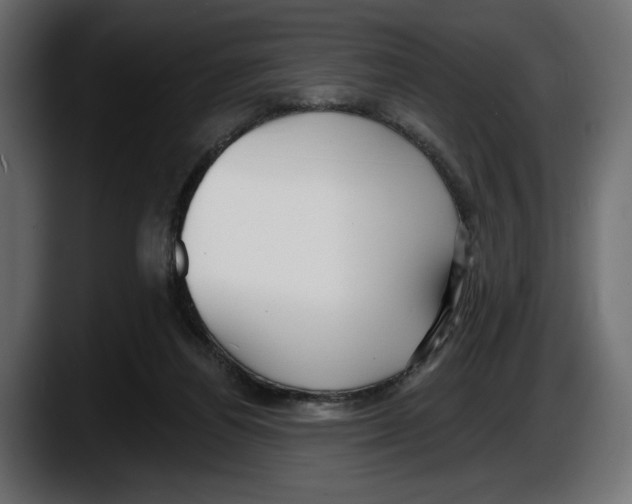 X0000087510164200705251626