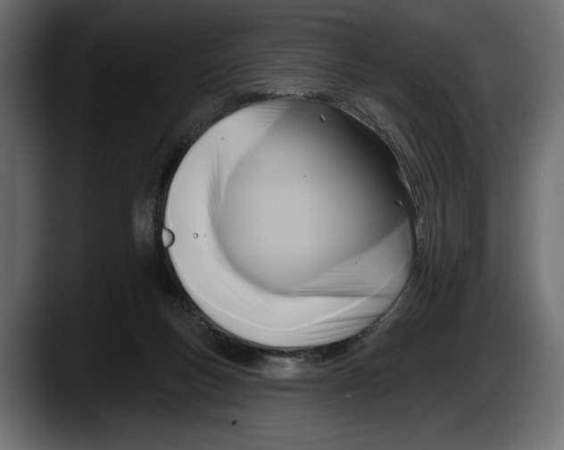 X0000087510167200705251626