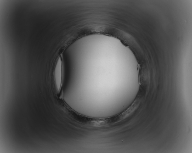 X0000087510172200705251626