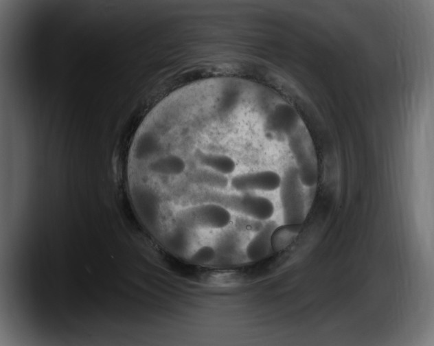 X0000087510173200705251626