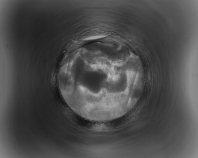 X0000087510177200705251626