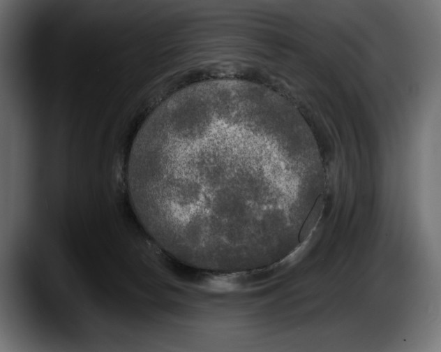 X0000087510178200705251626