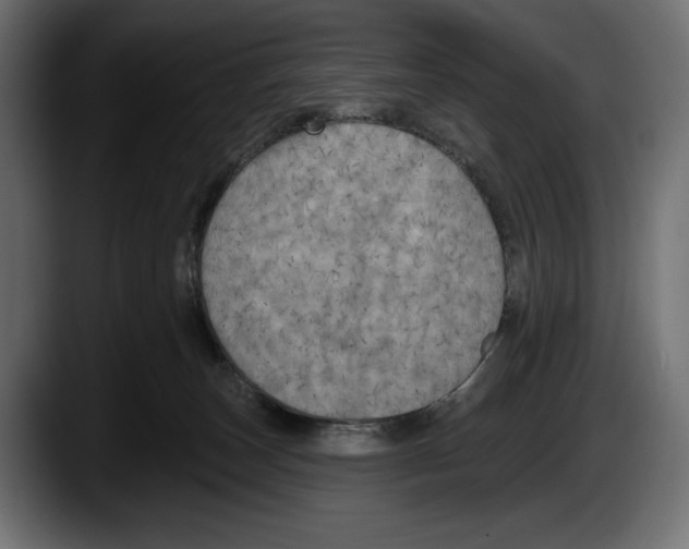 X0000087510179200705251626