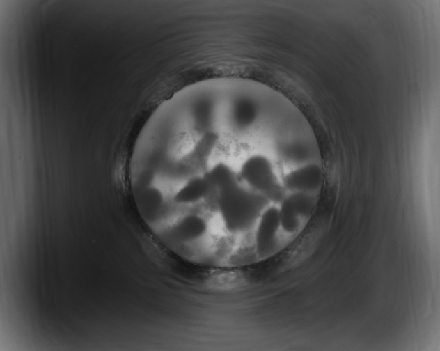 X0000087510185200705251626