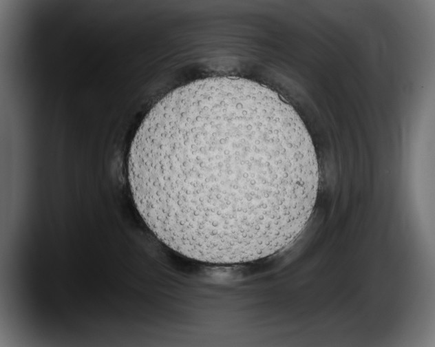 X0000087510187200705251626