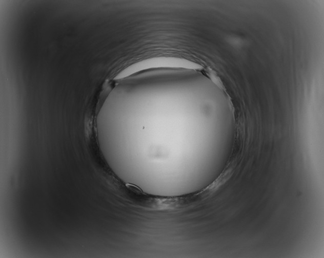 X0000087510188200705251626