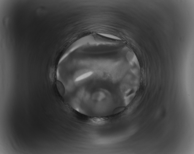 X0000087510189200705251626