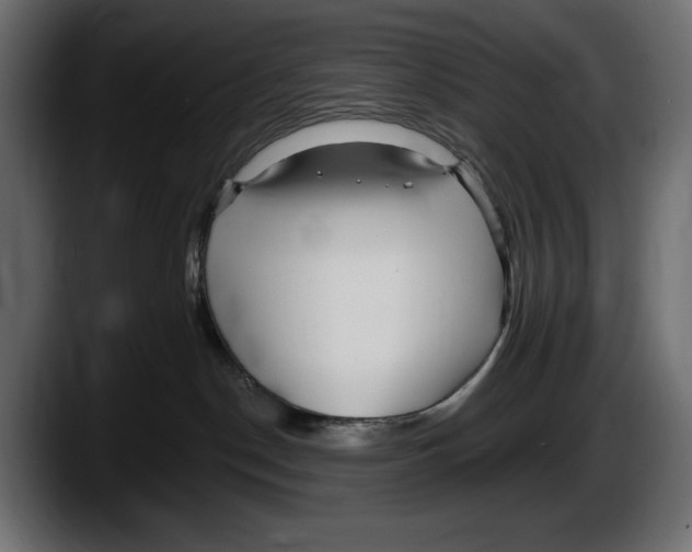 X0000087510190200705251627