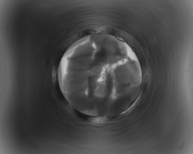 X0000087510191200705251627