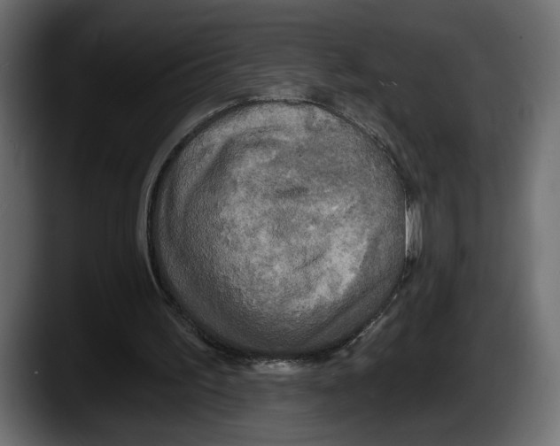 X0000087510195200705251626