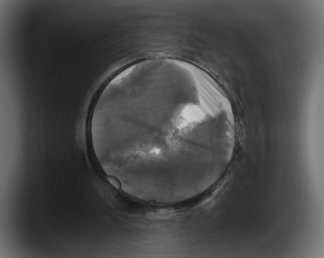 X0000087510196200705251626