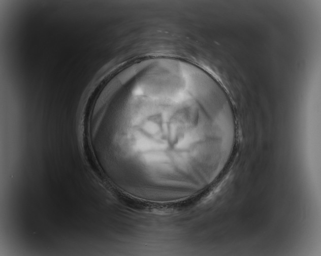 X0000087510199200705251626