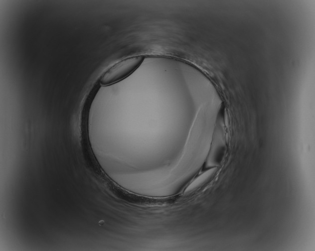 X0000087510200200705251626