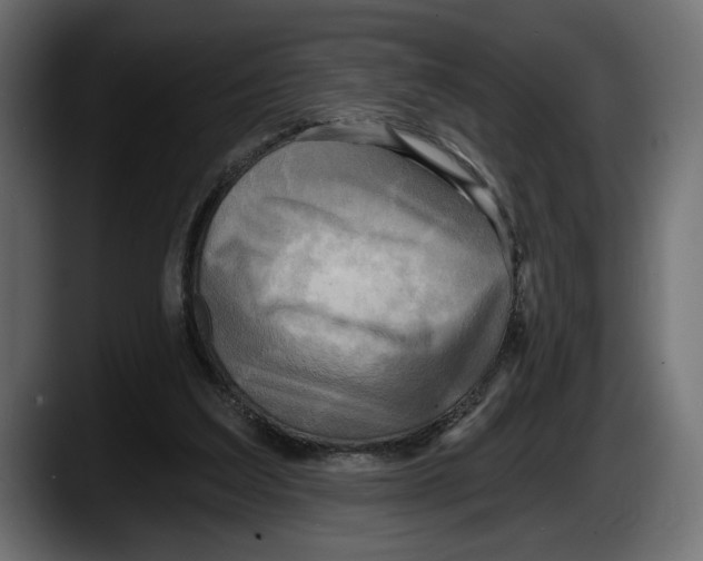 X0000087510203200705251626