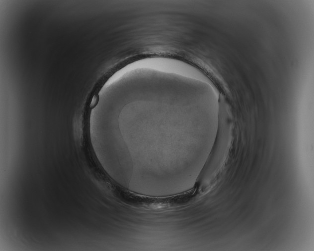 X0000087510204200705251626