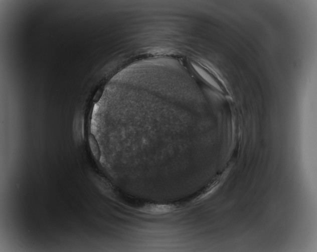 X0000087510205200705251626