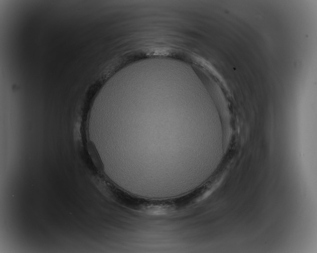 X0000087510209200705251626