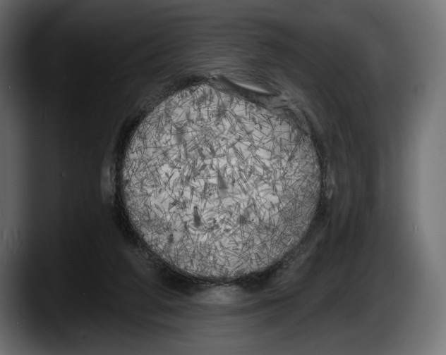 X0000087510210200705251626