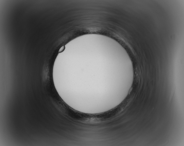 X0000087510212200705251626