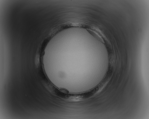 X0000087510213200705251626