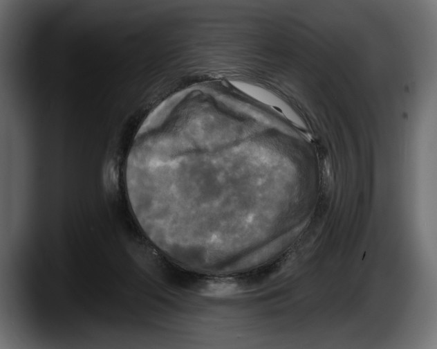 X0000087510214200705251626