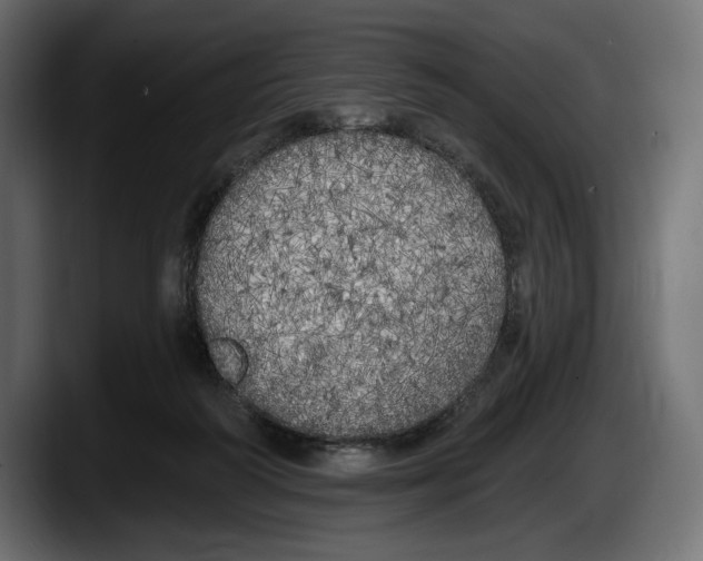 X0000087510218200705251626