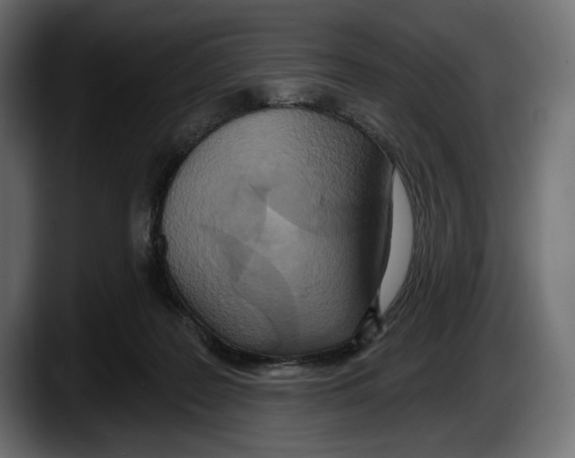 X0000087510219200705251626