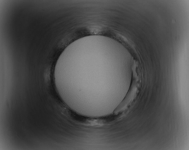 X0000087510221200705251626