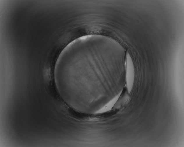 X0000087510224200705251625