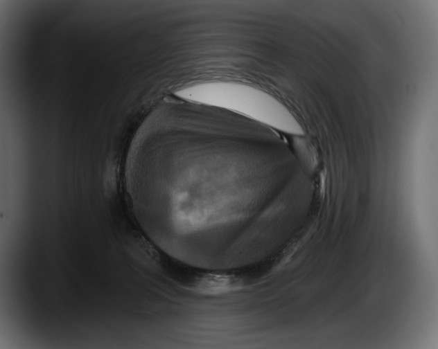 X0000087510227200705251625