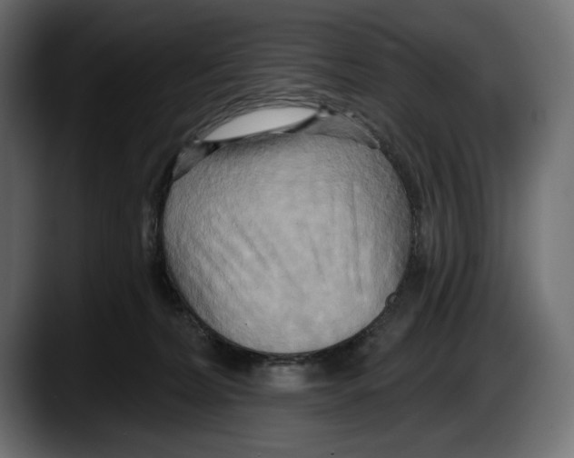 X0000087510228200705251625