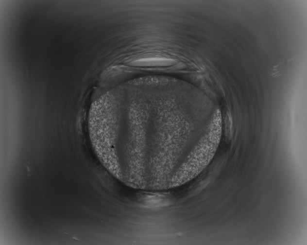 X0000087510229200705251625