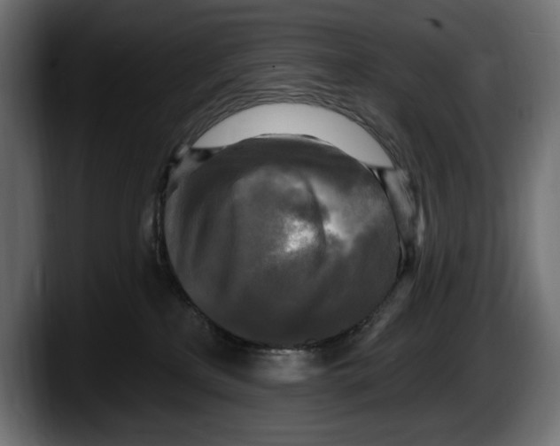 X0000087510233200705251625