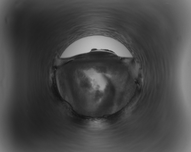 X0000087510235200705251625