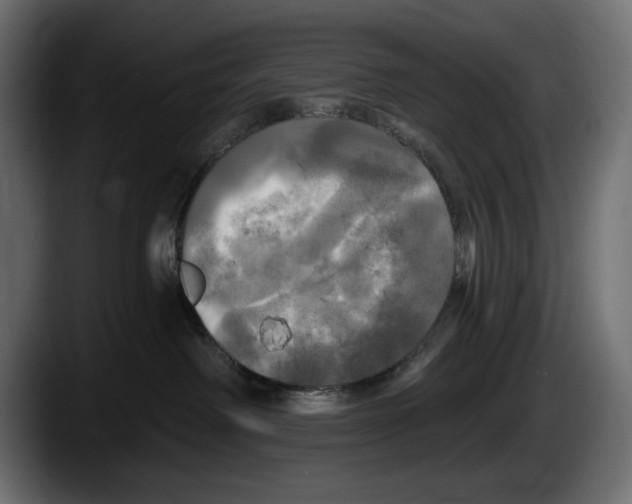 X0000087510238200705251625