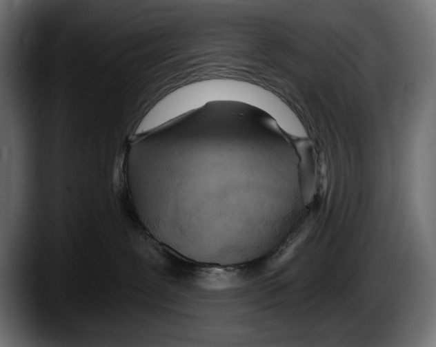 X0000087510239200705251625