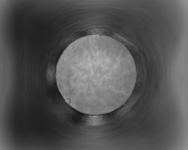 X0000087510240200705251625