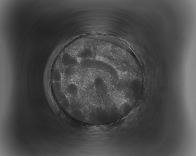 X0000087510241200705251625