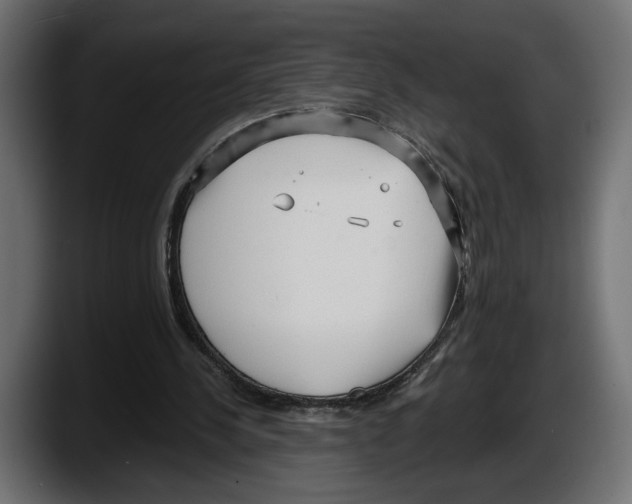 X0000087510244200705251625