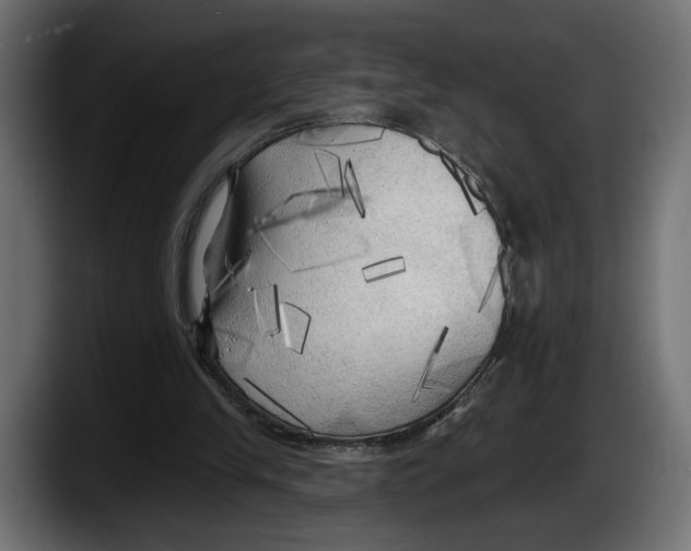 X0000087510245200705251625