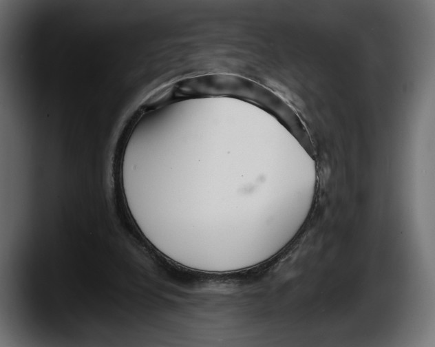 X0000087510248200705251625