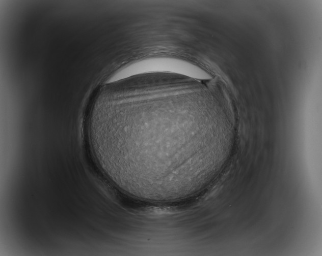 X0000087510250200705251625