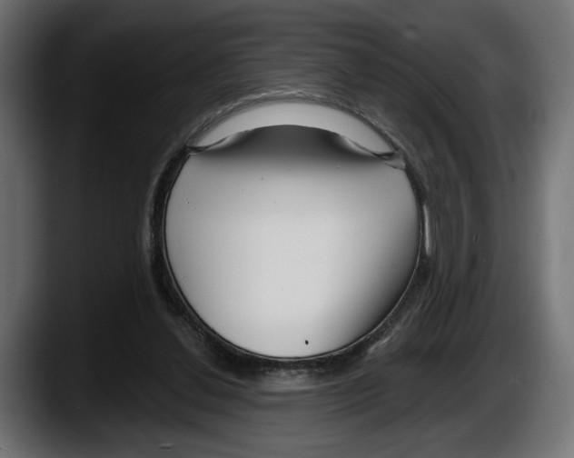 X0000087510252200705251625