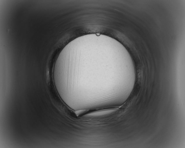 X0000087510254200705251625