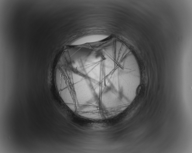 X0000087510255200705251625